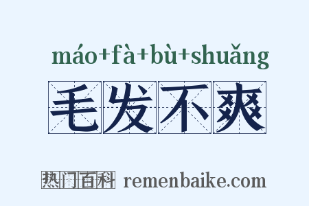 毛发不爽是什么意思的图片